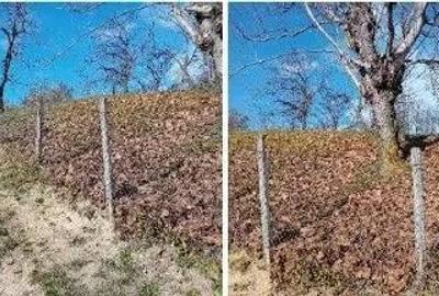 Teren cota parte 1/2, Sat Vistieru, ID: R2809860 - 3