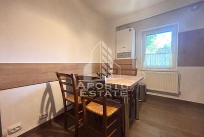 Apartament cu 3 camere, decomandat, zona Lipovei, PET-FRIENDLY Apartament cu 3 camere, decomandat, zona Lipovei, PET-FRIENDLY - 10