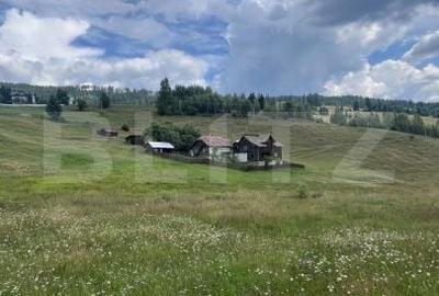 Teren de 36000 mp, în Bosanci - 1