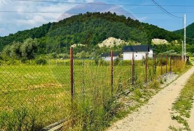 Teren 1,095mp Sighetu Marmatiei / Strada Faget - 1