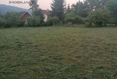 Teren de 1700 mp, în Ceahlău - 1