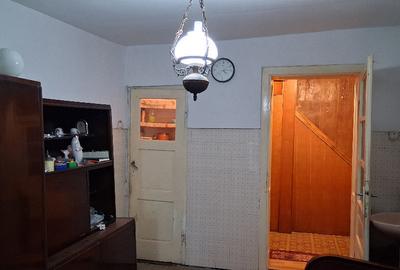 Casa Mehala, Timi?oara - 6