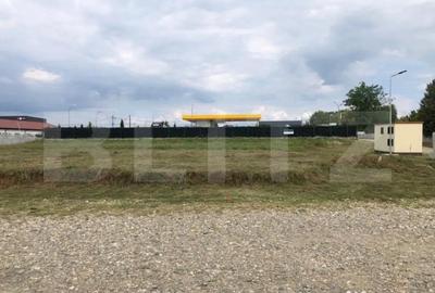 Teren de 1926 mp, în Priseaca - 7