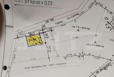 Teren intravilan de 2000 mp in Carcea, langa strada Muntenil - 3