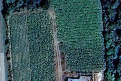 Casă cu Teren 500 Mp în Zlata - 1