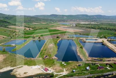 Teren Extravilan cu lac - Investitie in Natura si Agrement | 35.251 mp - 9