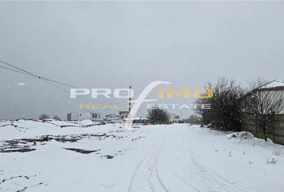 Teren 600mp. curs constructii, Utilitati, Palazu Mare, str.S - 6
