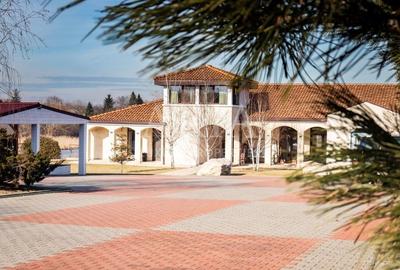 SNAGOV VILA | 36m DESCHIDERE LA LAC | PONTON 250mp | JACUZZI | SPA | BOWLING - 1