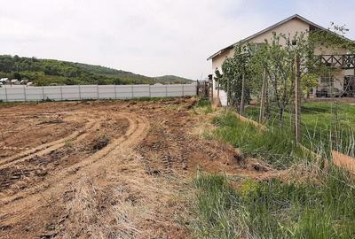 Teren de 1480 mp, în Vlădiceni - 2