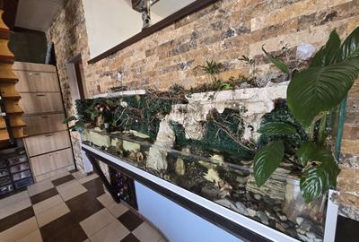 Casa cu piscina, 3450 Mp suprafata teren, Albesti, Mures - 5