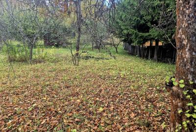 Casa de vacanta Timisu de Sus/Brasov/Oportunitate investitie - 21