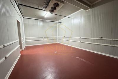 Spațiu industrial, de 1,350 mp, în Dumbrăvița