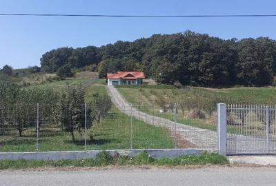 Casă cu 6 camere decomandat cu Teren 19200 Mp în Creaca - 20