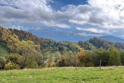 PROPRIETAR - 3274 mp intravilan Simon (BRAN) - 4