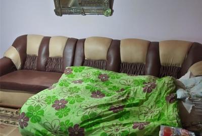 Casă cu 7 camere în Botoroaga - 6