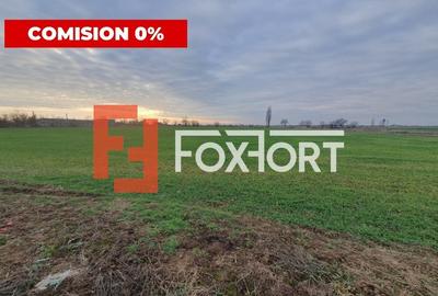 Comision 0% Teren extravilan agricol 21,32 ha sau intravilan cu PUZ aprobat - 6