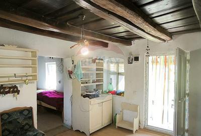 Casa de vacan?a in sat sasesc, Moarda? jude?u... - 1
