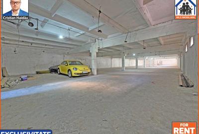 Hale de inchiriat in 1 Decembrie Ilfov | NILS Imobiliare - 5