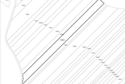 Teren extgravilan agricol Uliesti, ID: R2263433 - 7