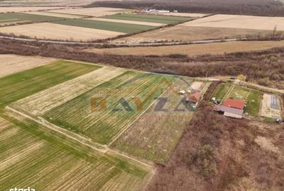 Casă cu 1 camere cu Teren 3000 Mp în Satulung - 3