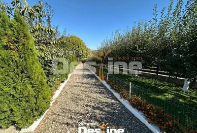 Teren de 11000 mp, în Tătăruși - 1