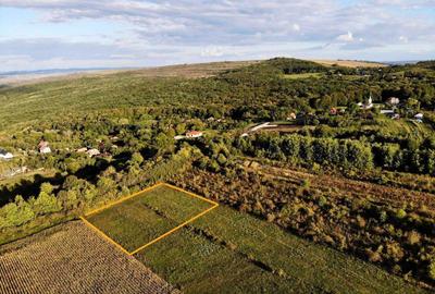 Spațiu comercial, în Chinteni - 2