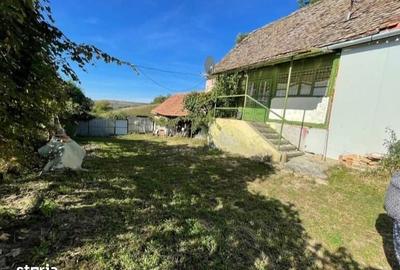 Teren de 11000 mp, în Brădeni - 2