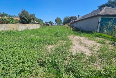 Teren de vânzare în Corbu, ideal pentru investiții sau dezvoltare afaceri! - 8