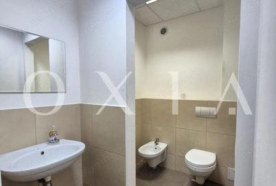 AX1153 Elisabetin, Bulevardul 16 Deccembrie 1989, Spatiu Birou - 6