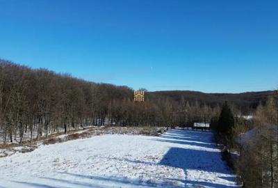 Teren în Dragomirna - 10