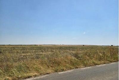 Teren de 4300 mp, în Smârdioasa - 2