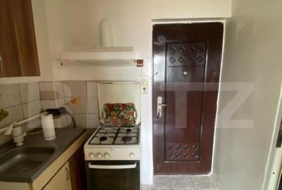 Garsoniera de inchiriat Dumbrava - 4