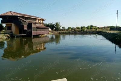 Vand casa pensiune cu helesteu aproape de Timisoara-locatie excelenta! - 1