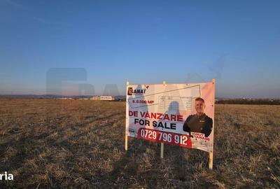 Teren de 8500 mp, în Turnișor