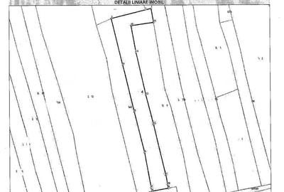 Teren de 9723 mp, în Gălăuțaș - 2
