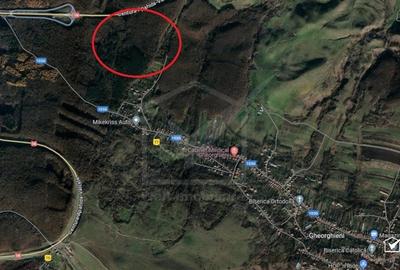 Padure de vanzare, sat Gheorghieni - 1