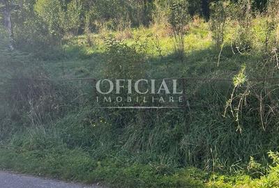 OPORTUNITATE!!! Teren Intravilan 2771 Mp Zona CIURILA Sat SUTU CLUJ - 5