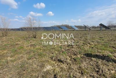 Teren Construcții intravilan de 978 mp, în Drăguțești - 6