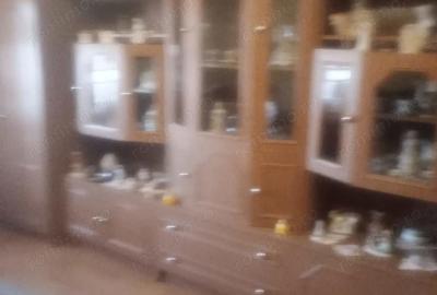 Casă cu 3 camere cu Teren 250 Mp în Macea - 1