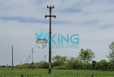 Teren Construcții intravilan de 34500 mp, în Teiu