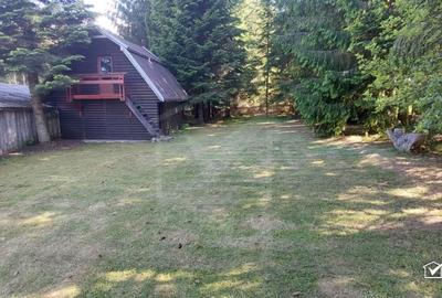 Casa de vacanta, teren 800 mp, Belis - 11