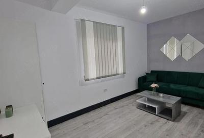 Apartament cu 2 camere decomandat în Beregsău Mare - 2