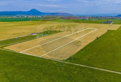 Teren agricol extravilan de 12300 mp, în Glăjărie - 2
