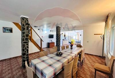Pensiune + Vila pe malul raului Lotru-Malaia,Valcea - 9