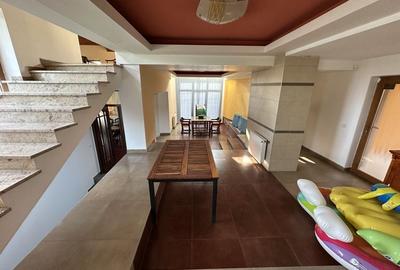 Proprietate cu piscina Dumbravita - 39