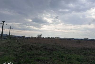 Teren de 26112 mp, în Ernei - 4