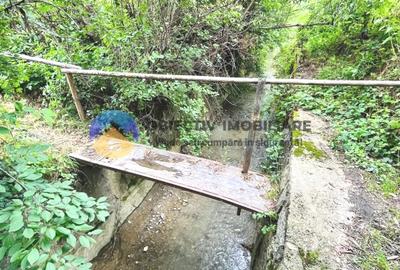 Teren Construcții intravilan de 1657 mp, în Stejaru (Pângărați) - 8