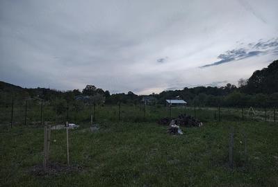 Teren de 500 mp, în Băiculești - 2