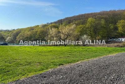 Teren intravilan 6.516 mp in Deva, prelungire str. Vulcan, spre Almas, Jud. Hunedoara. - 1