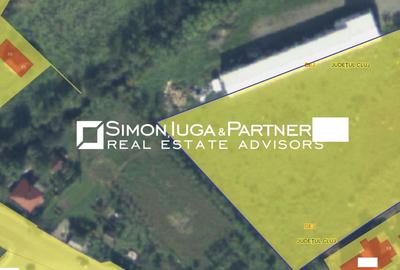 Teren Construcții intravilan de 6840 mp, în Sud - 1